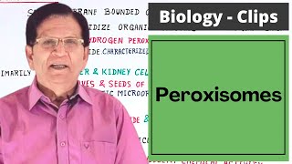 Peroxisomes  Introduction  Biology Clips [upl. by Mathias]