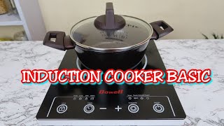 INDUCTION COOKER BASIC REVIEW [upl. by Kalina951]