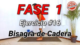 Bisagra de Cadera  EJERCICIO COMPLETO 🏋🏻‍♂️ [upl. by Erehs]