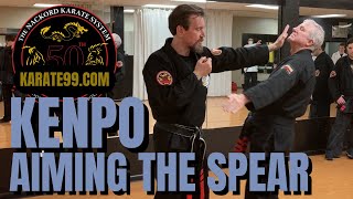 KENPO AIMING THE SPEAR [upl. by Negem]