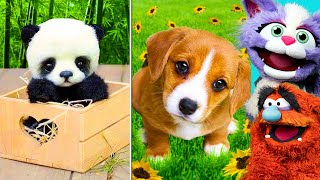 CUTEST TIKTOK ANIMALS That Will Make You Laugh Compilation  Preston amp Brianna FUNNY [upl. by Elyr]