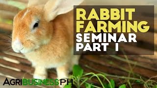 Rabbit farming in the Philippines  Rabbit farming seminar part 1 Agriculture [upl. by Alia639]