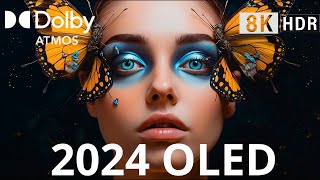 BEST OF OLED DEMO 2024 Dolby Atmos HDR 8K 60FPS [upl. by Ahsimac]