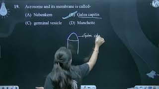 Acrosome and its membrane is called [upl. by Notlit]