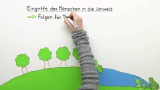 EINGRIFFE DES MENSCHEN IN DIE UMWELT  Biologie  Ökologie [upl. by Annahaj200]