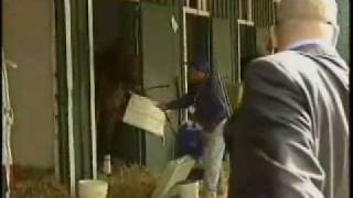 Smarty Jones  The Inside Story  Part 1 [upl. by Yecam483]