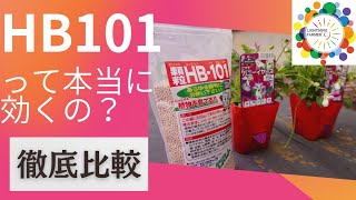 【実験】HB101は本当に効果があるのか？ [upl. by Vyner878]