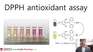 Radical Scavenging Assay Tutorial  DPPH ASSAY [upl. by Madonia]