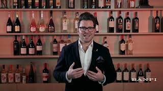 Banfi Chianti amp Chianti Classico Training Video [upl. by Dynah]