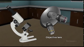 How a compound microscope works  3D animated [upl. by Hernandez679]