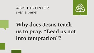 Why does Jesus teach us to pray “Lead us not into temptation” [upl. by Lordan]