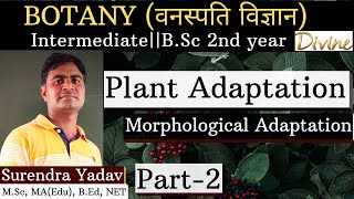 Morphological Adaptation  Plant Adaptation for BSc PART2  By Surendra Sir [upl. by Ugo]