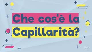 Videoesperimenti  La capillarità [upl. by Aznola]