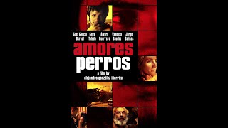 Amores Perros Film Review [upl. by Brader]