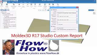 Moldex3D R17 Customize Report by FlowHow® [upl. by Zenitram]