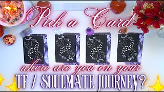 Twin Flame  Soulmate Connection CHECKIN 📋❤️ Pick a Card Collab with AdorasLightbyAmourinette  ✨ [upl. by Ricker772]