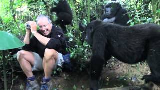 Extraordinary Encounter with Mountain Gorillas in Bwindi Uganda [upl. by Larrie]