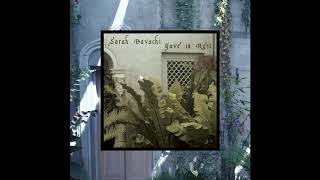 Sarah Davachi  Gave In Rest 2018 Full Album [upl. by Eerol558]