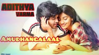 Amudhangalaal song  Adithya Varma  Tamil Movie Song [upl. by Mimi]