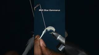 Fly Tying a Melt Glue Gammarus  Fly tying tutorial flytying flytyingforbeginners fishing shrimp [upl. by Eizzo]