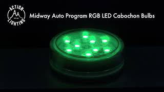 Midway Auto Program RGB LED Cabochon Bulbs [upl. by Acceber]