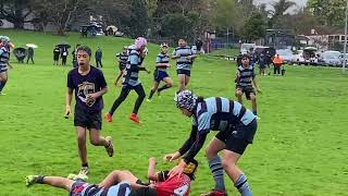 TOA SAMOA BLUES U12s vs Counties Manukau Maoris U12s pretournament game 31082024 [upl. by Michail]