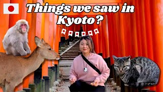 Top Things to Do in KYOTO Japan  Nara Park Monkey Rickshaw Karasuma Kyoto Hotel Cat [upl. by Nonad]