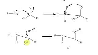 SchottenBaumann Reaction and its Mechanism [upl. by Hafinah]