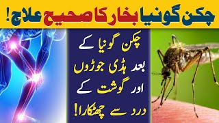 Chikungunya ka Ilaj  Chikungunya Joint Pain Treatment Hindi  Dr YK [upl. by Ehcrop]