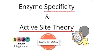 Biology Bugbears Enzyme Specificity and Active Site TheoryLeaving Cert Biology 2025 [upl. by Aisya234]