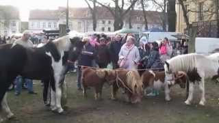 Pferdemarkt Neuruppin [upl. by Effie]