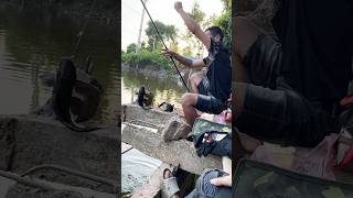 Go fishing câu cá lau kiếng bằng mồi ngô fishingvideo fishing fishingtips fish fishinglife c [upl. by Okwu291]