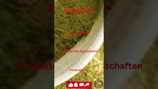 🌿🧄„Bärlauchpulver Der intensiv würzige Knoblauchkick“🧄🌿shorts Bärlauchpulver Knoblauchgeschmack [upl. by Prestige544]