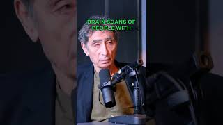 Gabor Mate Debunks the Disease Model of Mental Illness [upl. by Nairbal]