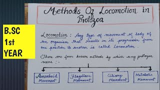 Methods of locomotion in Protozoa  Locomotion in Protozoa  AmoeboidCiliary FlagellarMetabolic [upl. by Ernestine919]