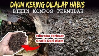 DAUN KERING DILALAP HABIS OLEH BAKTERI TERKUAT DARI ALAM  CARA MEMBUAT KOMPOS TERCEPAT [upl. by Niles]