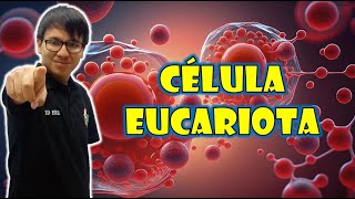 BIOLOGIA FREE   CÉLULA EUCARIOTA 👉😍🌿 [upl. by Leund874]