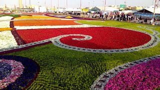 Yanbu Flower Festival Guinness Record [upl. by Nalyak]