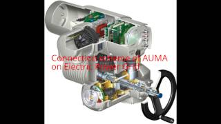 What is AUMA Connection scheme to power grid [upl. by Anahoj]