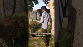 National Park Navegaon Bandh ytshort shorts youtubeshorts reality navegoan [upl. by Aurel]