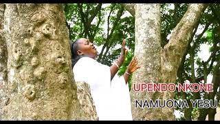 Upendo Nkone  NAMUONA YESU official audio [upl. by Norvell167]