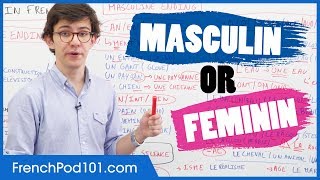 Gender of French Words Masculin vs Feminin [upl. by Cindie]