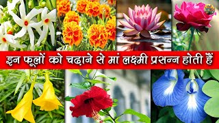 इन फूलों को चढ़ाने से लक्ष्मी जी प्रसन्न होती हैं🌱Lord Ganesha favourite flower🌱दिवाली flowers [upl. by Emlen]