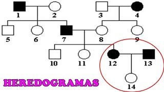 HEREDOGRAMAS  Exercícios e Dicas [upl. by Amairam]