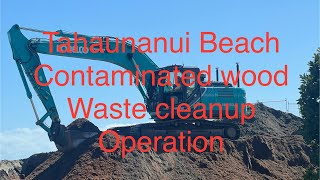 Tāhunanui beach contaminated wood waste cleanup operation [upl. by Drugge]