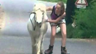 Inliner fahren mit Pony [upl. by Gayel]