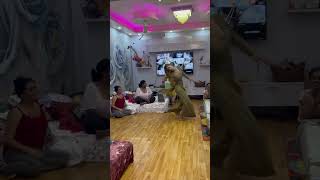 Zordar dance 💃 shorts shortsvideo youtubeshorts khushi [upl. by Zoa73]