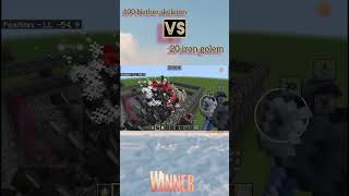 100 Nether SKELETON VS 20 iron golem Winner [upl. by Notsnorb]