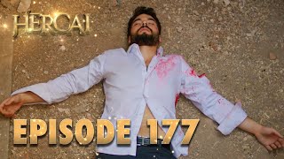 Hercai  Herjai Urdu  Episode 177 [upl. by Aenet11]