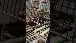 beer chiller production [upl. by Odlanyar]